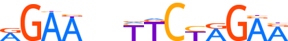 HSF2.H12INVIVO.0.PSM.A motif logo (HSF2 gene, HSF2_HUMAN protein)