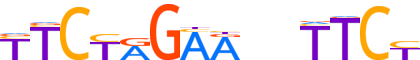 HSF2.H12INVIVO.0.PSM.A reverse-complement motif logo (HSF2 gene, HSF2_HUMAN protein)