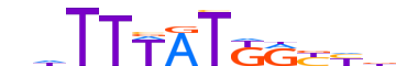 HXA9.H12INVIVO.2.P.B motif logo (HOXA9 gene, HXA9_HUMAN protein)