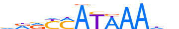 HXA9.H12INVIVO.2.P.B reverse-complement motif logo (HOXA9 gene, HXA9_HUMAN protein)