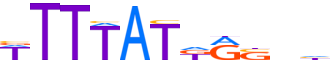 HXB13.H12INVIVO.0.PS.A motif logo (HOXB13 gene, HXB13_HUMAN protein)