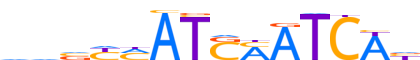 HXB7.H12INVIVO.0.P.C reverse-complement motif logo (HOXB7 gene, HXB7_HUMAN protein)