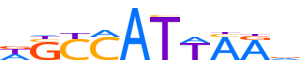 HXB8.H12INVIVO.0.PSM.A reverse-complement motif logo (HOXB8 gene, HXB8_HUMAN protein)