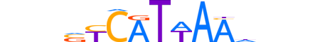 HXC10.H12INVIVO.1.S.B reverse-complement motif logo (HOXC10 gene, HXC10_HUMAN protein)