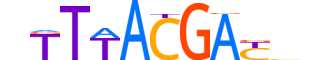 HXC11.H12INVIVO.0.SM.D motif logo (HOXC11 gene, HXC11_HUMAN protein)