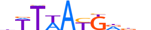 HXC11.H12INVIVO.1.S.D motif logo (HOXC11 gene, HXC11_HUMAN protein)