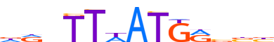 HXD11.H12INVIVO.0.PS.A motif logo (HOXD11 gene, HXD11_HUMAN protein)