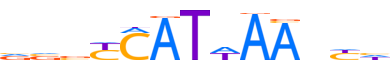 HXD11.H12INVIVO.0.PS.A reverse-complement motif logo (HOXD11 gene, HXD11_HUMAN protein)