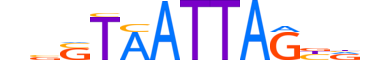 HXD3.H12INVIVO.0.SM.D reverse-complement motif logo (HOXD3 gene, HXD3_HUMAN protein)