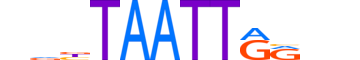 ISX.H12INVIVO.0.SM.D motif logo (ISX gene, ISX_HUMAN protein)