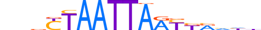 ISX.H12INVIVO.2.SM.D reverse-complement motif logo (ISX gene, ISX_HUMAN protein)