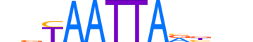 LHX5.H12INVIVO.0.PSM.D reverse-complement motif logo (LHX5 gene, LHX5_HUMAN protein)