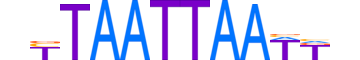 LMX1B.H12INVIVO.1.SM.B motif logo (LMX1B gene, LMX1B_HUMAN protein)