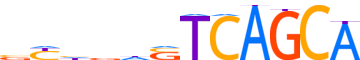 MAFB.H12INVIVO.0.PS.A reverse-complement motif logo (MAFB gene, MAFB_HUMAN protein)