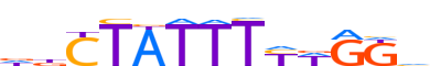 MEF2B.H12INVIVO.0.PS.A motif logo (MEF2B gene, MEF2B_HUMAN protein)