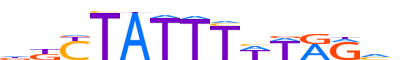 MEF2C.H12INVIVO.0.P.B motif logo (MEF2C gene, MEF2C_HUMAN protein)