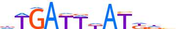 MEIS1.H12INVIVO.0.P.B motif logo (MEIS1 gene, MEIS1_HUMAN protein)