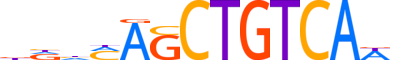 MEIS2.H12INVIVO.2.SM.B reverse-complement motif logo (MEIS2 gene, MEIS2_HUMAN protein)