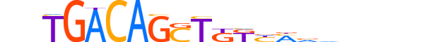 MEIS3.H12INVIVO.1.S.D motif logo (MEIS3 gene, MEIS3_HUMAN protein)