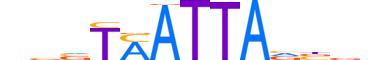 MEOX1.H12INVIVO.0.SM.D reverse-complement motif logo (MEOX1 gene, MEOX1_HUMAN protein)