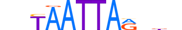 MIXL1.H12INVIVO.1.S.D motif logo (MIXL1 gene, MIXL1_HUMAN protein)