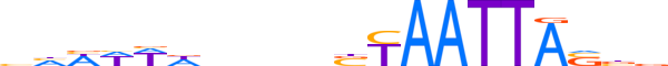 MSX2.H12INVIVO.1.SM.D motif logo (MSX2 gene, MSX2_HUMAN protein)