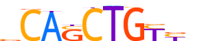 MYOD1.H12INVIVO.1.PSM.A motif logo (MYOD1 gene, MYOD1_HUMAN protein)