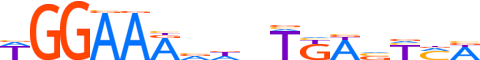 NFAC1.H12INVIVO.0.P.B motif logo (NFATC1 gene, NFAC1_HUMAN protein)