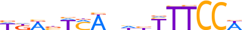 NFAC1.H12INVIVO.0.P.B reverse-complement motif logo (NFATC1 gene, NFAC1_HUMAN protein)