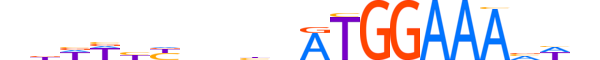 NFAC1.H12INVIVO.2.SM.B motif logo (NFATC1 gene, NFAC1_HUMAN protein)