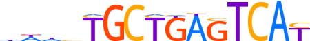 NFE2.H12INVIVO.0.P.B reverse-complement motif logo (NFE2 gene, NFE2_HUMAN protein)