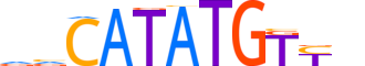 NGN2.H12INVIVO.1.SM.B motif logo (NEUROG2 gene, NGN2_HUMAN protein)