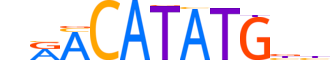 NGN2.H12INVIVO.1.SM.B reverse-complement motif logo (NEUROG2 gene, NGN2_HUMAN protein)