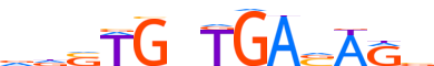 NKX25.H12INVIVO.1.P.B motif logo (NKX2-5 gene, NKX25_HUMAN protein)