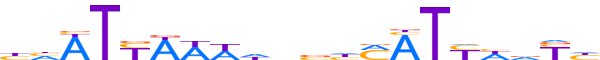 NKX61.H12INVIVO.0.PS.A reverse-complement motif logo (NKX6-1 gene, NKX61_HUMAN protein)