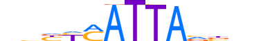 NOTO.H12INVIVO.0.SM.D motif logo (NOTO gene, NOTO_HUMAN protein)