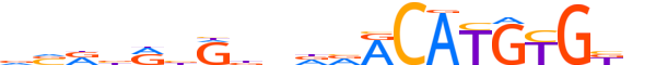 NPAS2.H12INVIVO.0.M.D motif logo (NPAS2 gene, NPAS2_HUMAN protein)