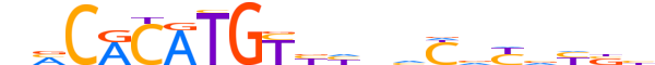 NPAS2.H12INVIVO.0.M.D reverse-complement motif logo (NPAS2 gene, NPAS2_HUMAN protein)