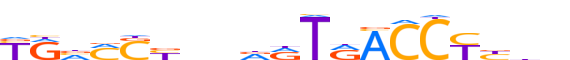 NR1H2.H12INVIVO.1.P.C reverse-complement motif logo (NR1H2 gene, NR1H2_HUMAN protein)