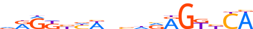 NR1I3.H12INVIVO.0.P.B motif logo (NR1I3 gene, NR1I3_HUMAN protein)