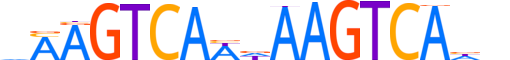 NR2E1.H12INVIVO.1.S.D motif logo (NR2E1 gene, NR2E1_HUMAN protein)