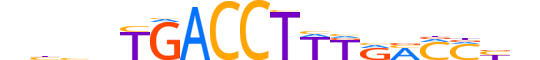 NR2F6.H12INVIVO.2.SM.B reverse-complement motif logo (NR2F6 gene, NR2F6_HUMAN protein)