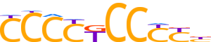 PATZ1.H12INVIVO.1.P.C reverse-complement motif logo (PATZ1 gene, PATZ1_HUMAN protein)