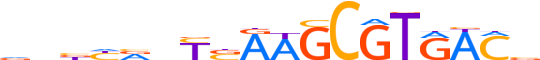 PAX1.H12INVIVO.0.SM.D motif logo (PAX1 gene, PAX1_HUMAN protein)