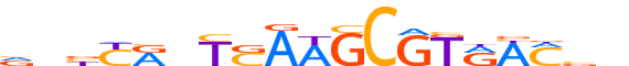PAX2.H12INVIVO.0.SM.D motif logo (PAX2 gene, PAX2_HUMAN protein)