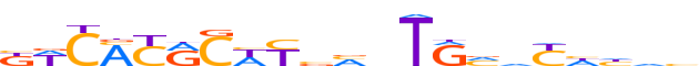 PAX8.H12INVIVO.0.PSM.A reverse-complement motif logo (PAX8 gene, PAX8_HUMAN protein)