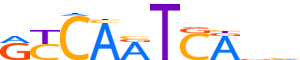 PBX1.H12INVIVO.1.P.B reverse-complement motif logo (PBX1 gene, PBX1_HUMAN protein)