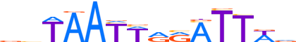 PHX2A.H12INVIVO.0.PS.A reverse-complement motif logo (PHOX2A gene, PHX2A_HUMAN protein)