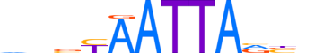 PHX2A.H12INVIVO.1.SM.B motif logo (PHOX2A gene, PHX2A_HUMAN protein)