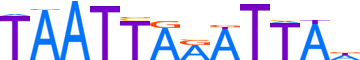 PHX2B.H12INVIVO.0.PSM.A motif logo (PHOX2B gene, PHX2B_HUMAN protein)